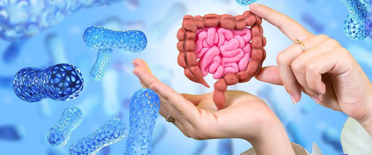 Nurturing Gut Health for Holistic Wellness with Prebiotic