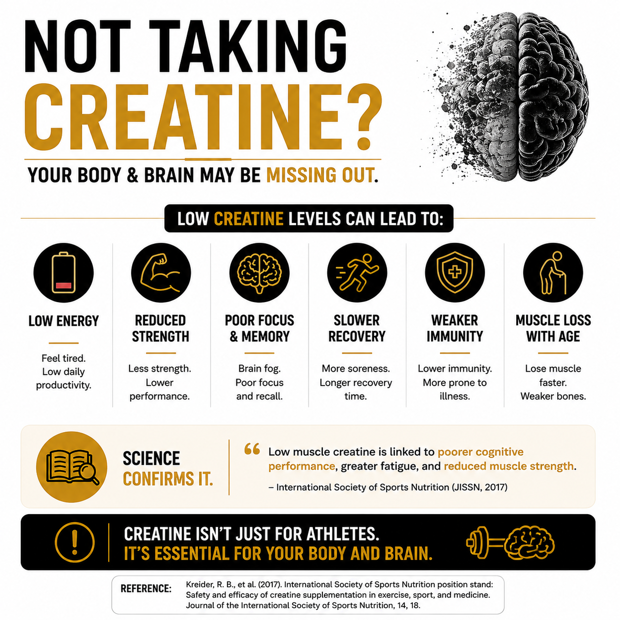 An informational infographic titled 'NOT TAKING CREATINE?' with a large black-and-yellow brain illustration at the top right. The layout explains that low creatine levels can lead to reduced strength, poor focus, slower recovery, weaker immunity, muscle loss with age, and low energy.