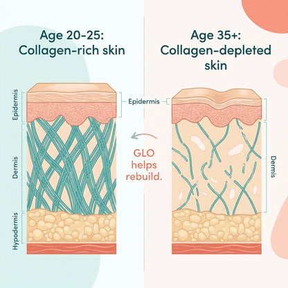 Split comparison illustration showing dense collagen fibres in young skin versus fragmented collagen in ageing skin after 35 with GLO supplement bridging the gap