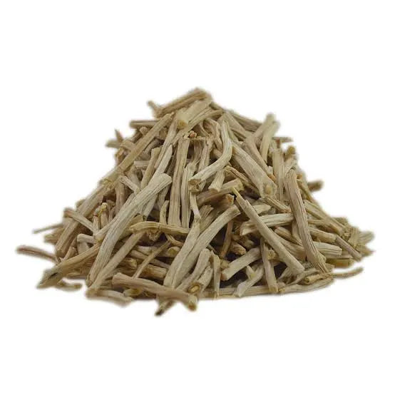 Shatavari (Asparagus racemosus)